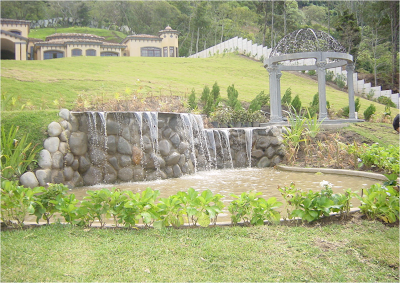 Oscar Rodríguez: Jardines Acuáticos