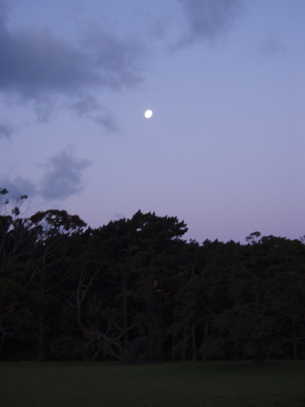 [P1010122.jpg]