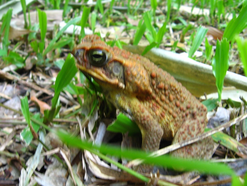 [IMG_3811.jpg]