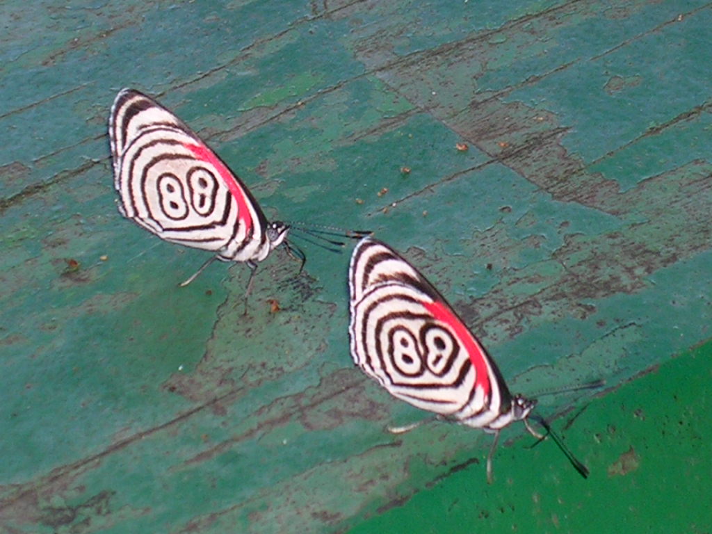 [RSCN3916.JPG]
