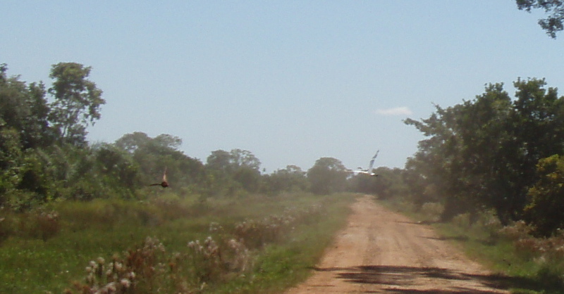 [P3280205.jpg]