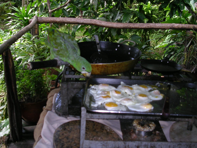 [DSCN4442.jpg]