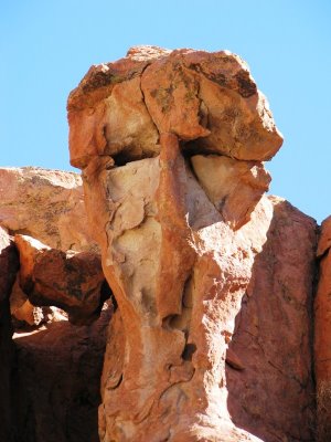 [IMG_1048.JPG]