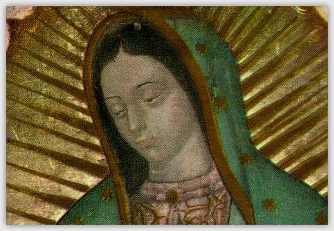 Virgen Guadalupe Hechos Seudoscientificos Cgnauta Blog Virgen Guadalupe Hechos Seudoscientificos Cgnauta Blog