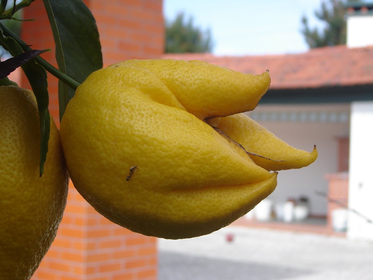 [DSC05556.JPG]
