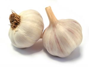 [garlic.jpg]