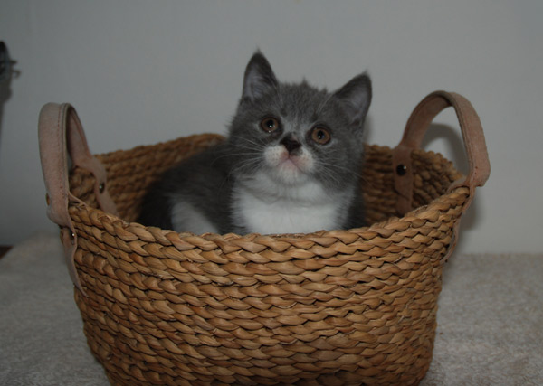 [DSC_0010.jpg]