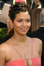 Mens Hairstyles 2011 Halle Berry Pixie Haircut