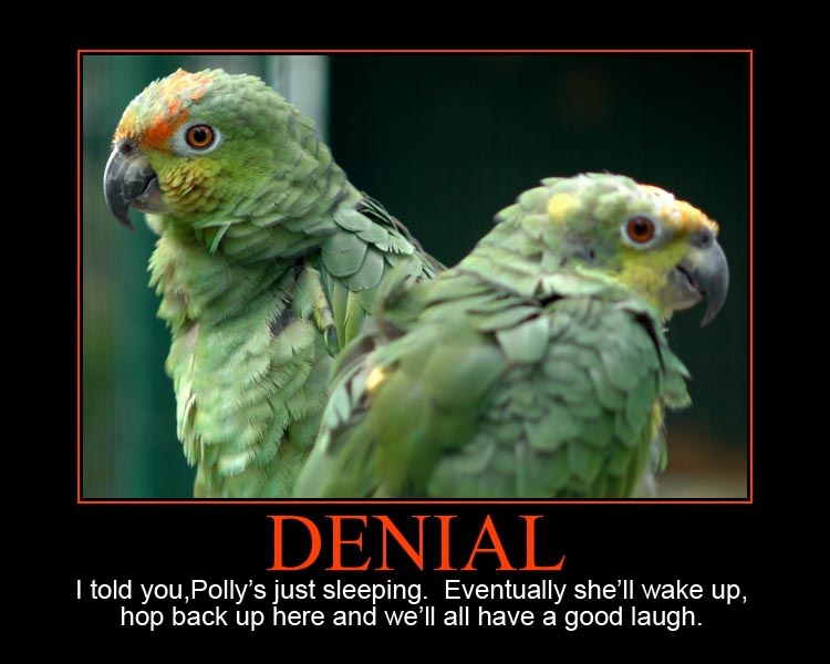 [dead_parrot_denial.jpg]