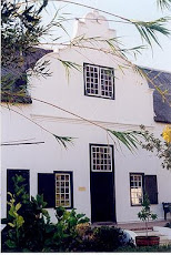 51. Stellenbosch