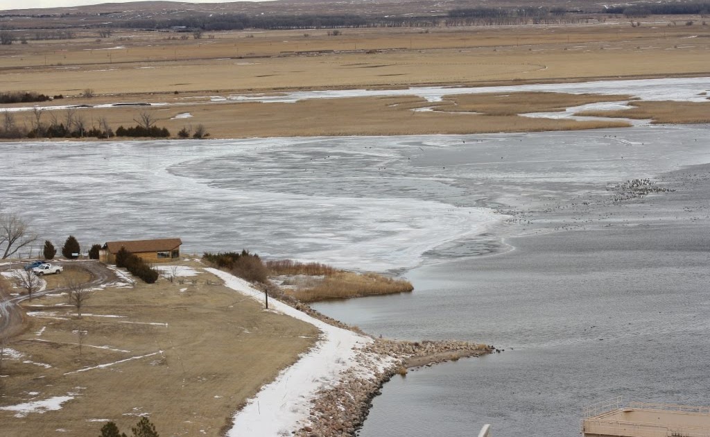 Eagle Viewing in Western Nebraska