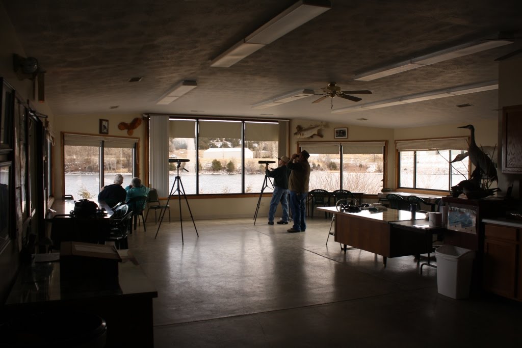 Eagle Viewing in Western Nebraska