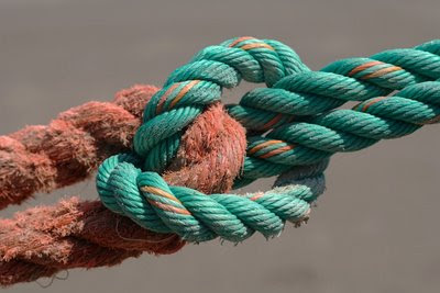 Download Vbs bajo las decoraciones marinas For iPhone Free Vbs Bajo Las Decoraciones Marinas