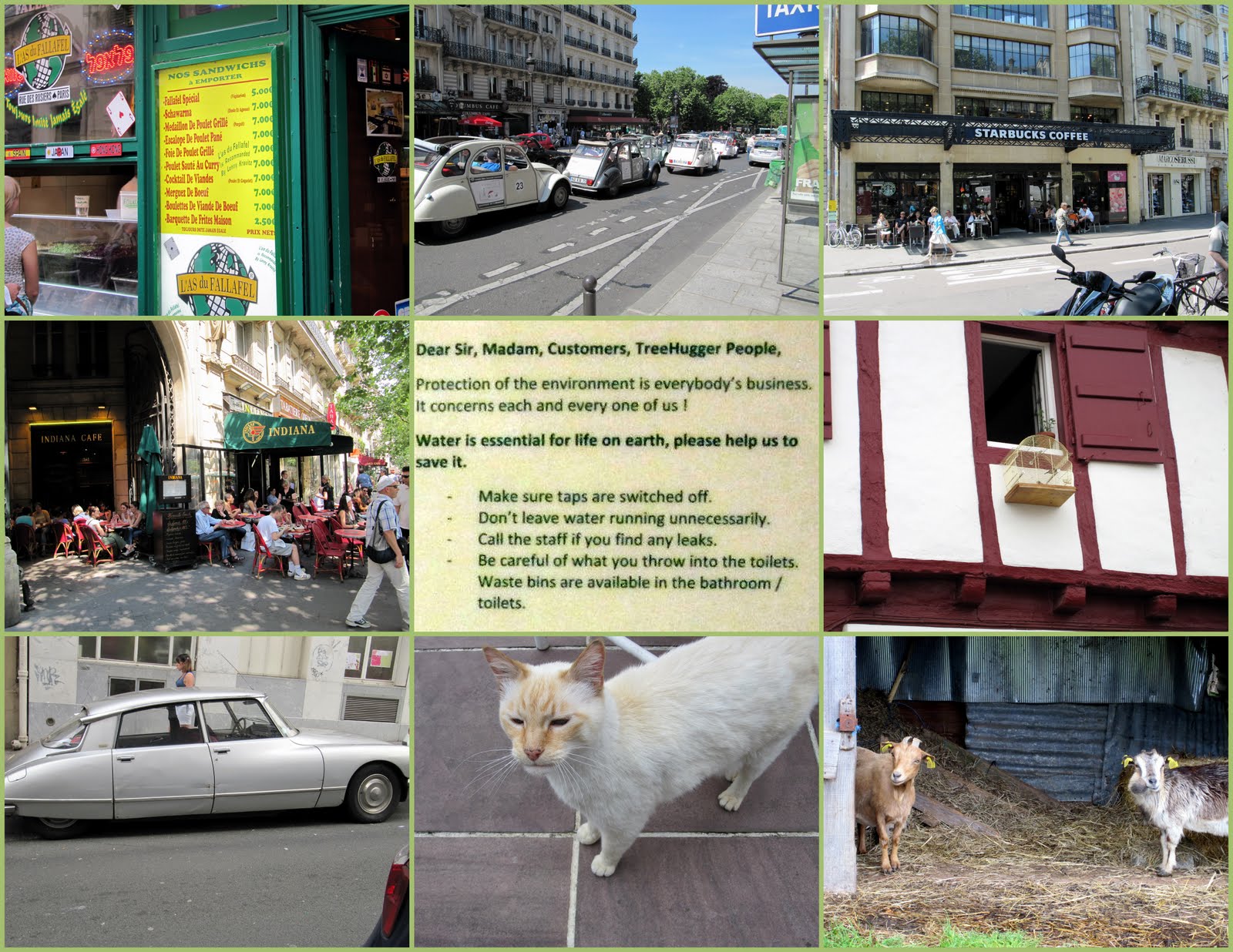 http://4.bp.blogspot.com/_NPacLTEgTKc/TBGnISsb8PI/AAAAAAAAEXc/XGphKV-GAF8/s1600/2010_France_Fun_Photos2.jpg