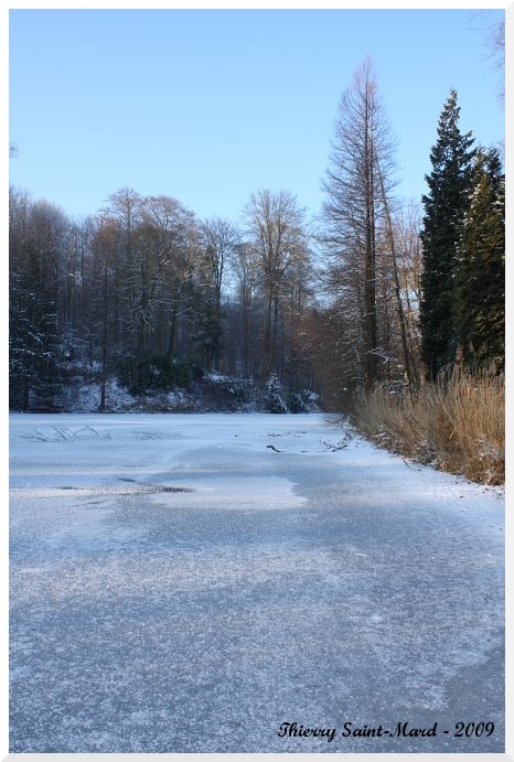 [IMG_1683.JPG]
