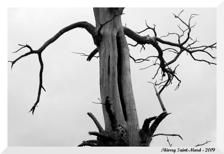 [IMG_4488.JPG]