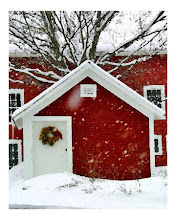 Profumo di Neve: