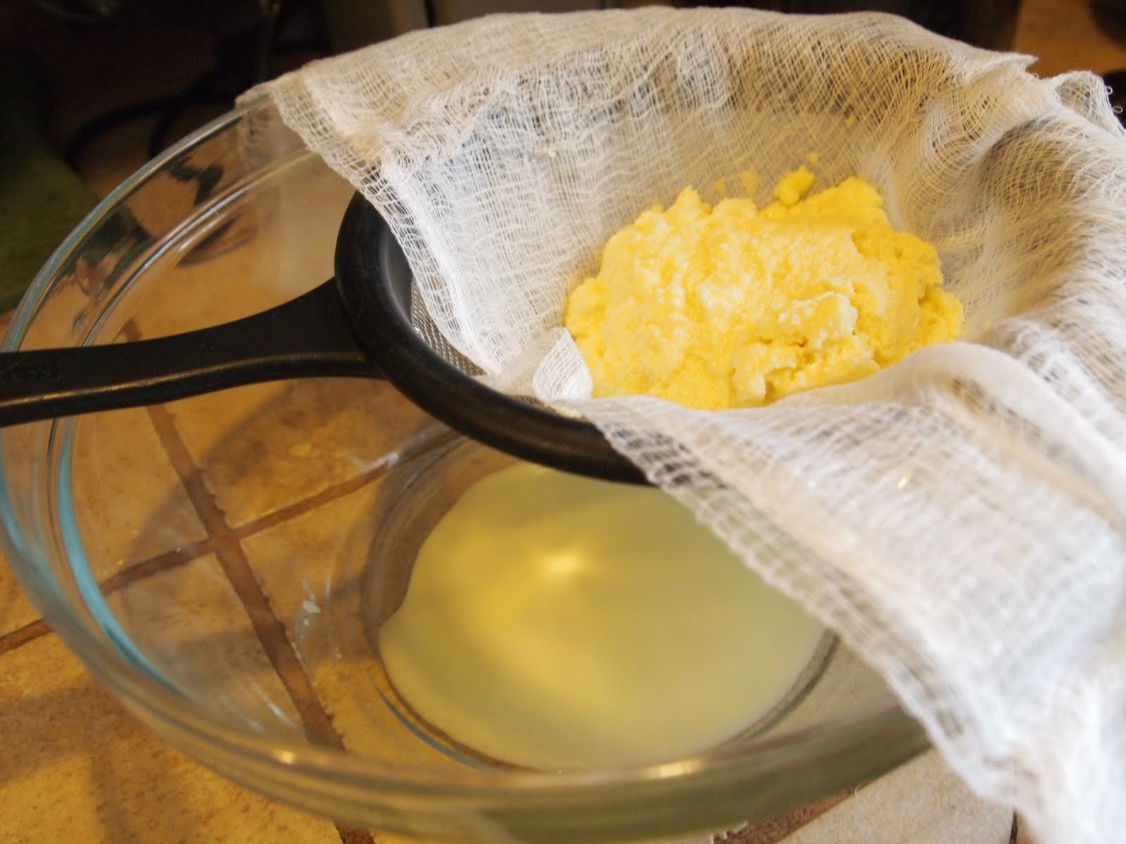 The Alchemist Make Your Own Homemade Ricotta Cheese