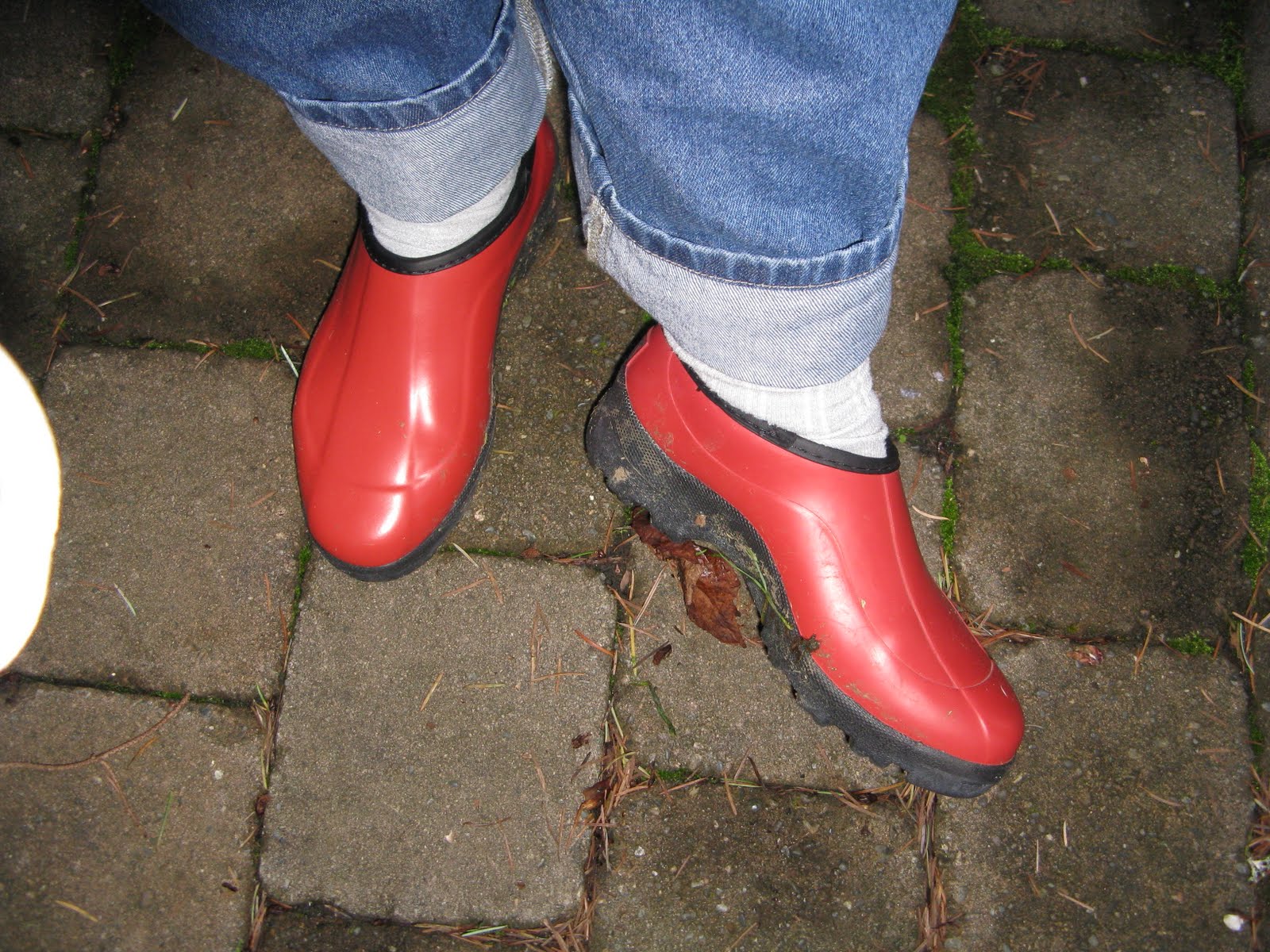 [Red+Clogs.JPG]