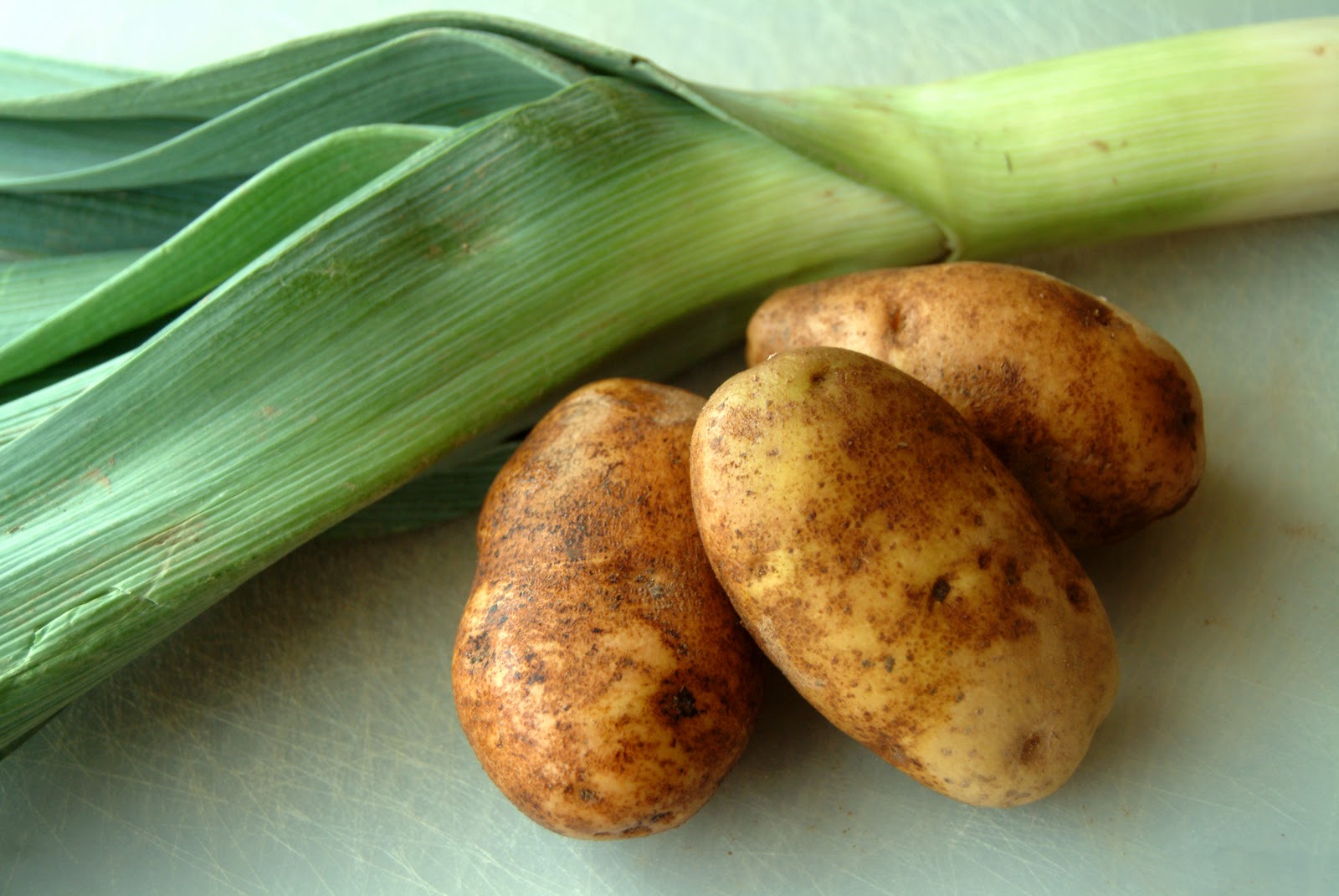 Potato-Leek Soup photo Potato-Leek Soup images