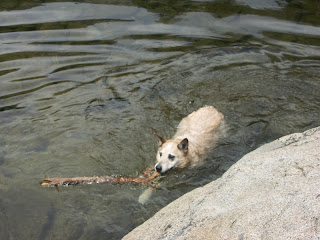 Hopper cools down