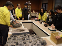 博物館スタッフの説明を受けながら巨大なアンモナイトの化石や石をさわって楽しむ