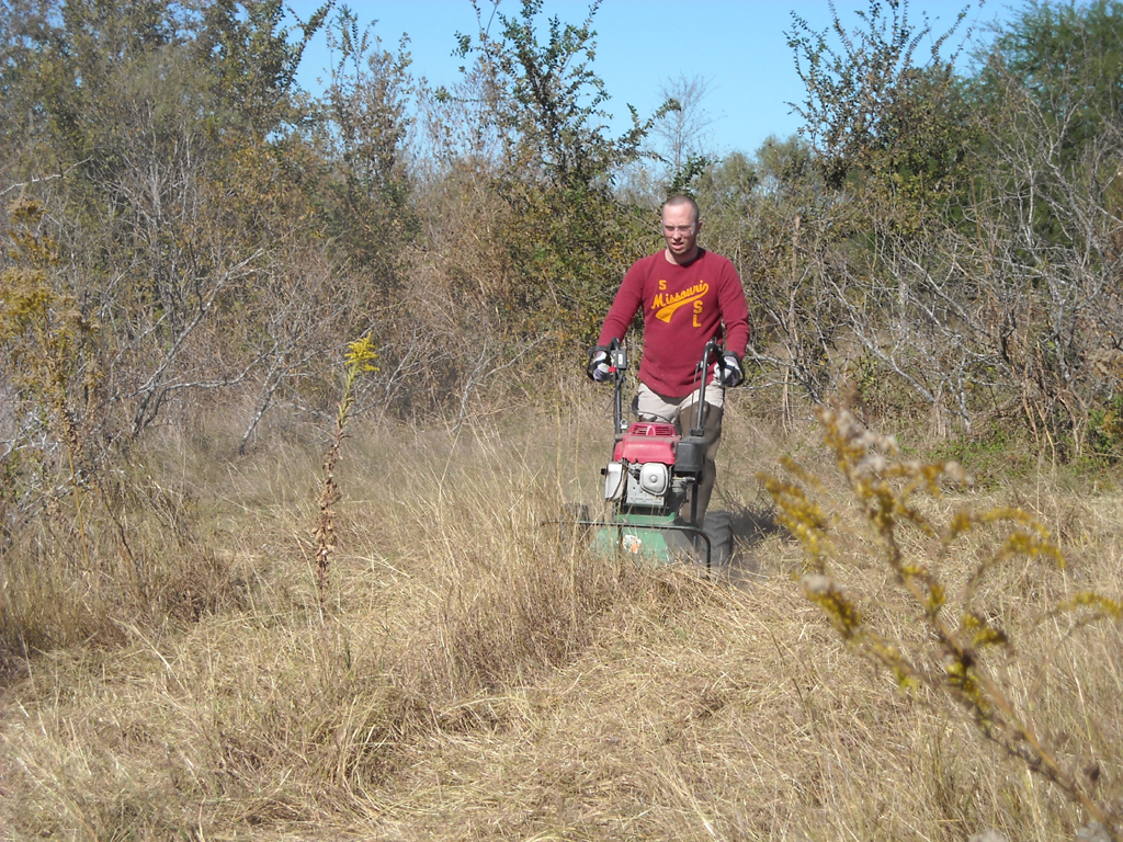Pictures of Brush Cutting