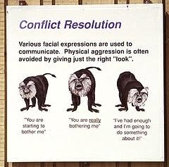 Key elements of conflict resolution