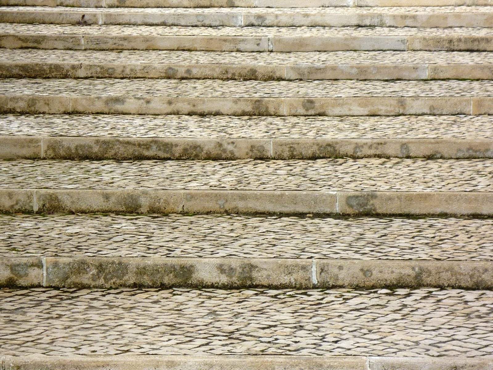 [P1020920.JPG]