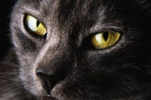EN EL SILENCIO NEGRO DE LA NOCHE en el silencio negro de la noche: