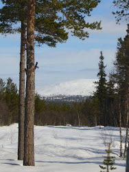 Utsikt fra hytta 08. (Sølen)