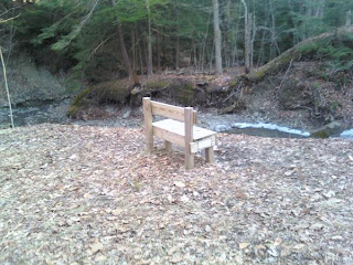 A bench in the woods