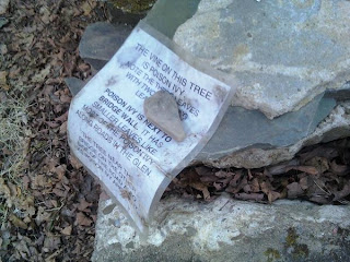 Poison Ivy warning