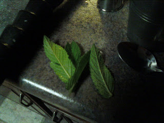 Some mint leaves