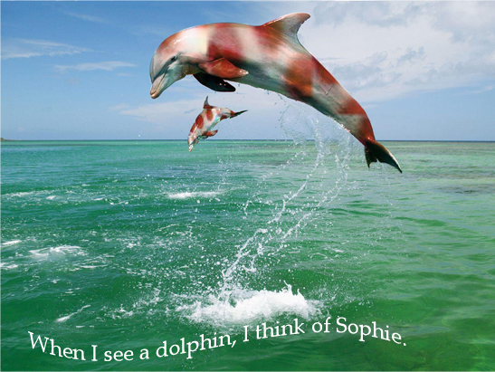 dolphin middle eastern singles This dating app is the middle east’s answer to tinder a unique and distinctly middle eastern creation in those languages has led singles to it in. dolphin middle eastern singles This dating app is the middle east’s answer to tinder a unique and distinctly middle eastern creation in those languages has led singles to it in.