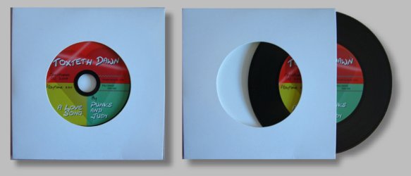 circadisc cd dvd business card cd duplication and printing