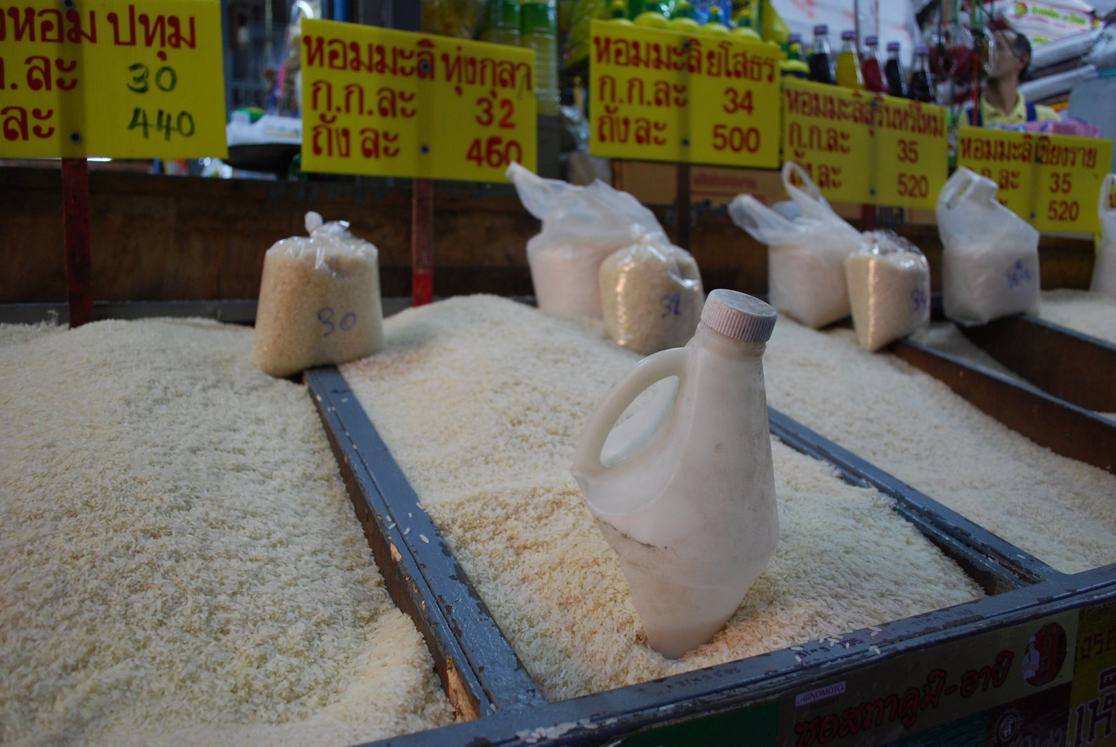 [DSC_0410_355.JPG]