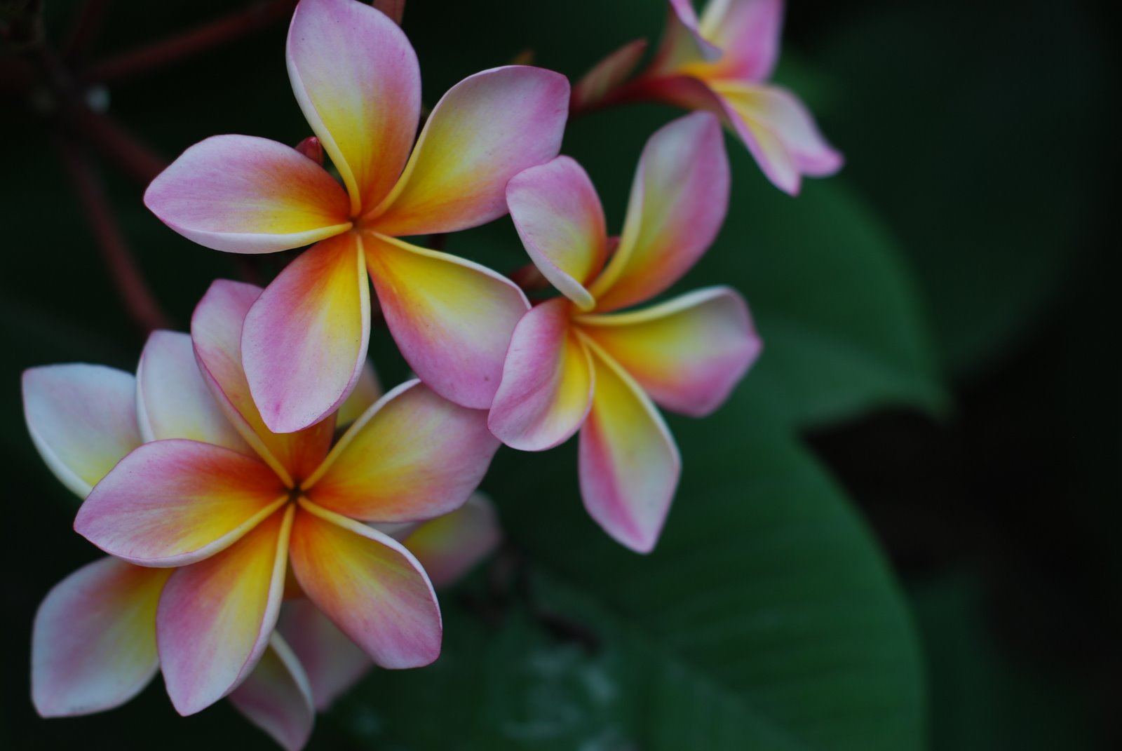 [DSC_0017_456.JPG]