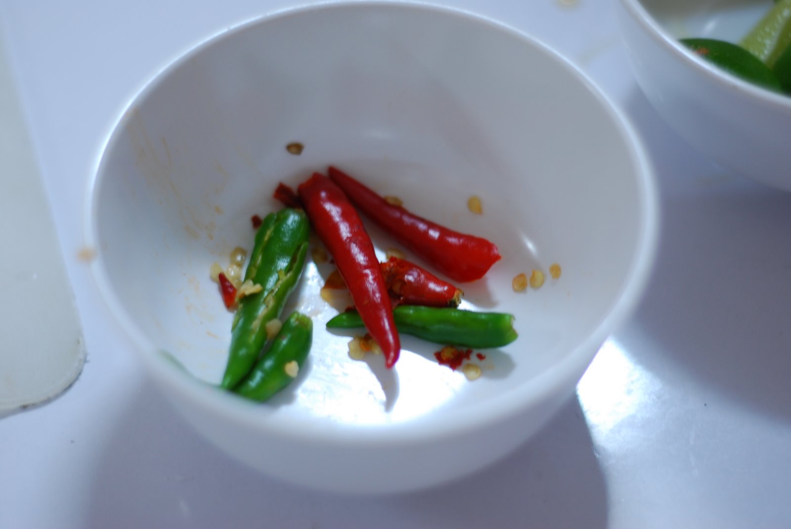 [DSC_0073_508.JPG]