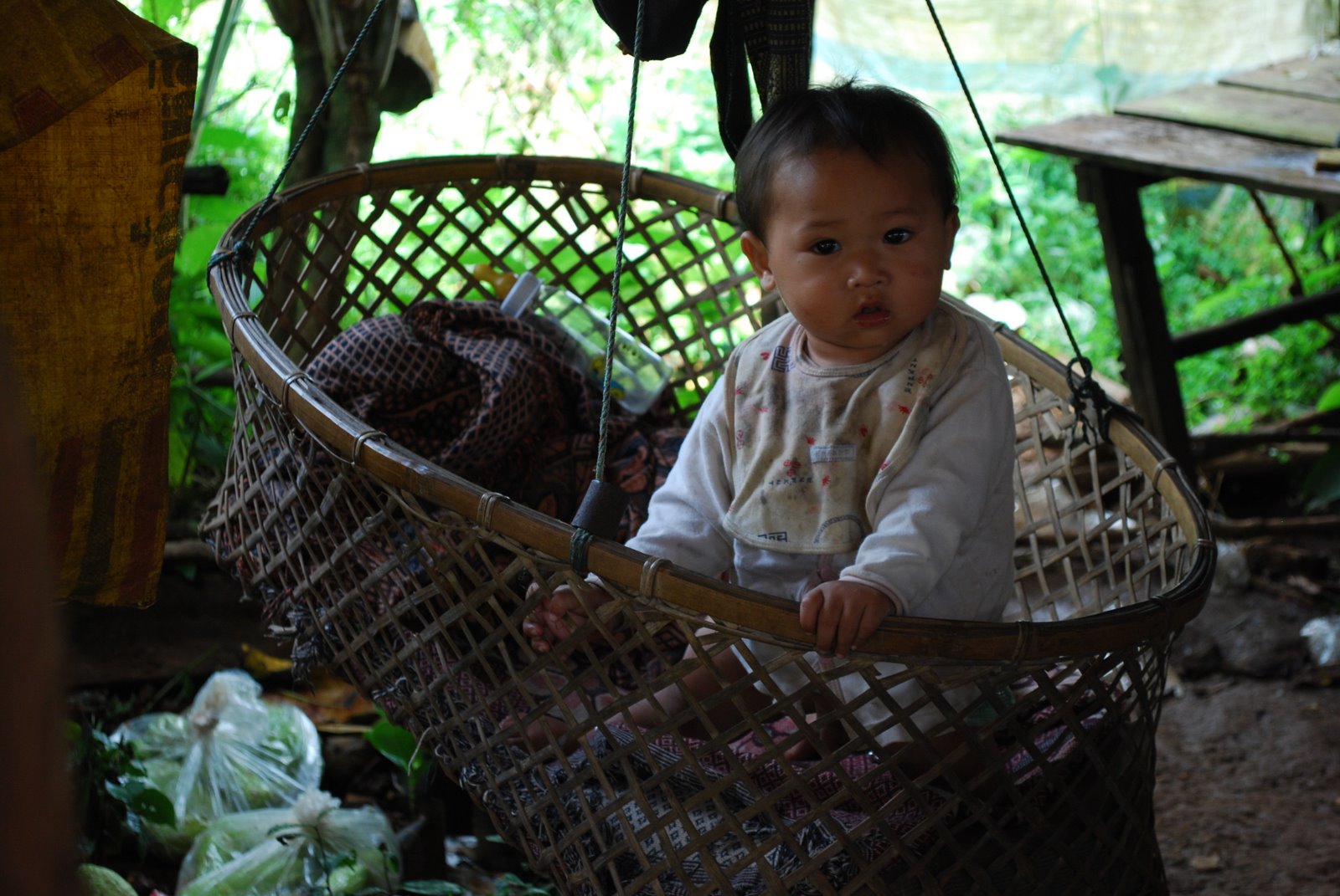 [DSC_0139_569.JPG]