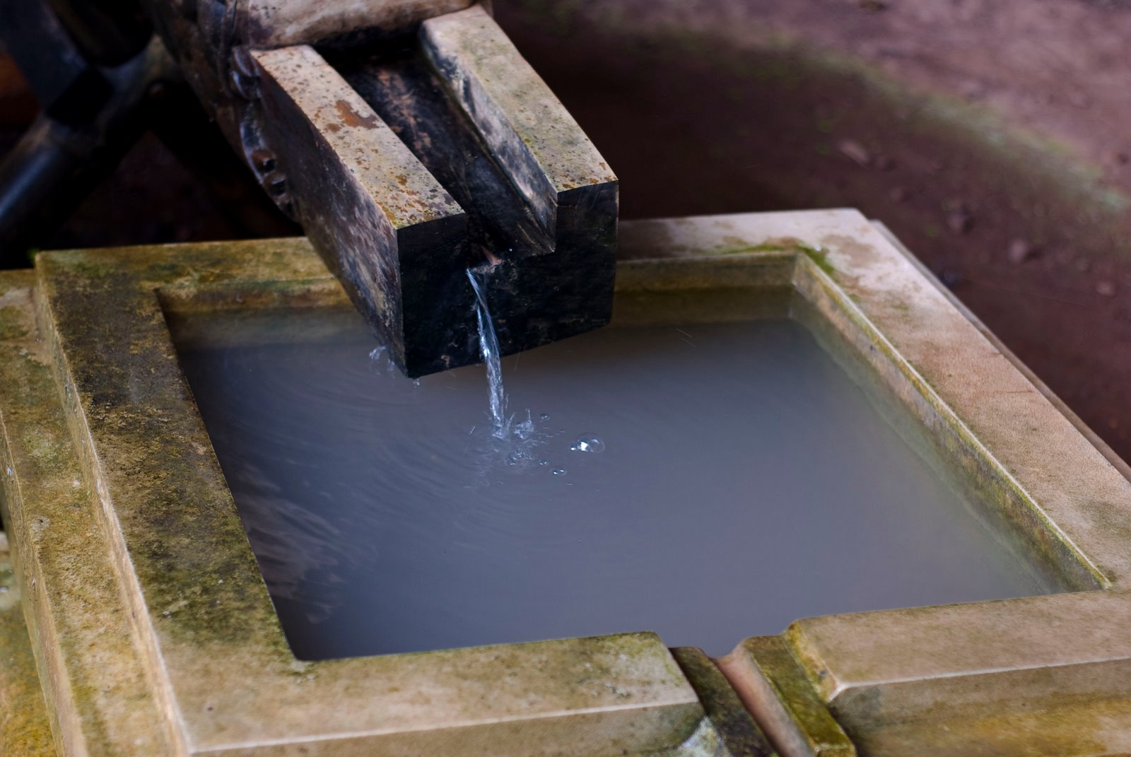 [DSC_0302_725_1.JPG]