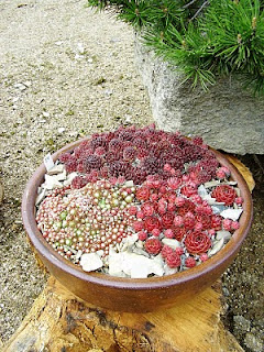 gardenless gardener: rock garden ideas