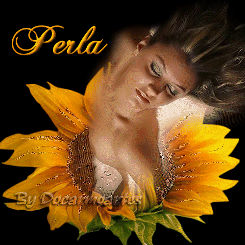 [2008perla.gif]