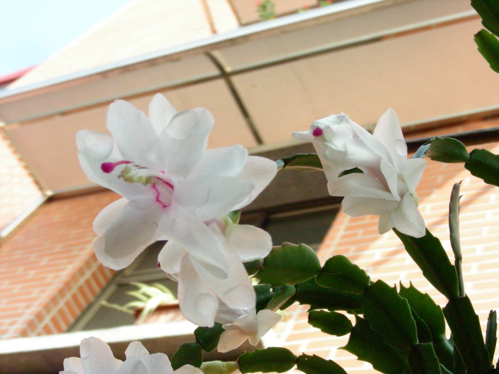 [DSCN1586.JPG]