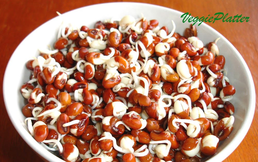 Veggie Platter Red Chori Bean Sprouts Usli
