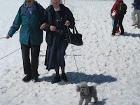 Out for a walk on the Jungfrau Plateau