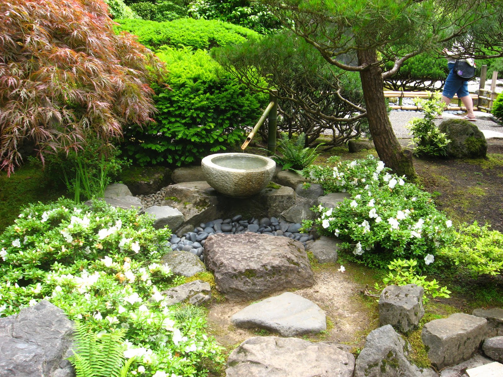 Running With Rocket: Japanese Garden Inspiration