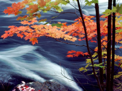 20 Nature Desktop Background Wallpapers For Free 20 Nature Desktop Background Wallpapers For Free