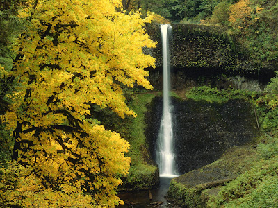 Beautiful Nature Wallpaper beautiful nature wallpaper. Beautiful Nature Wallpaper
