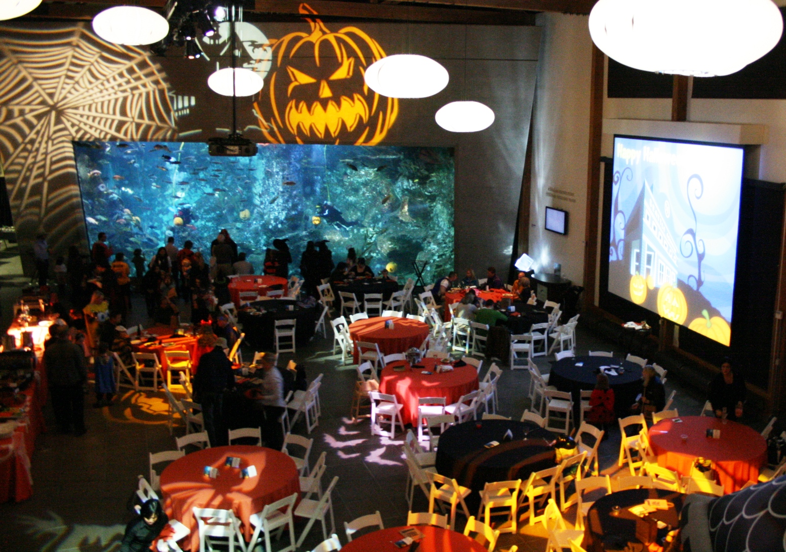 Seattle Aquarium at Night Happy Halloween!